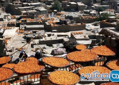 برگزاری هفتمین جشنواره آلو در روستای گردشگری ملحمدره